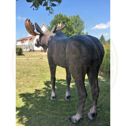 Elch Lebensgroß Elchfigur Lebensgroße Tierfiguren Hirsch Elchbulle Elchkuh Bulle